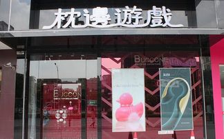 枕边游戏加盟,开启你的休闲游戏创业之旅(图1) 枕边游戏加盟,开启你的休闲游戏创业之旅(图1)