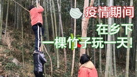 有竹子的游戏(图2) 有竹子的游戏(图2)