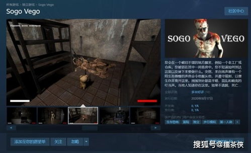 sogo游戏,SOGO游戏深度解析(图1) sogo游戏,SOGO游戏深度解析(图1)