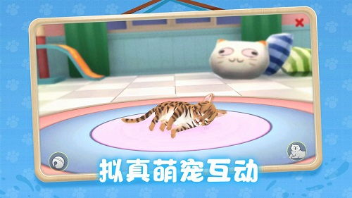 两个猫的游戏,双猫游戏巅峰对决(图3) 两个猫的游戏,双猫游戏巅峰对决(图3)