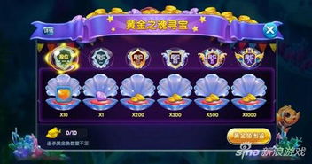 网吧捕鱼游戏,体验网吧电竞新风尚(图3) 网吧捕鱼游戏,体验网吧电竞新风尚(图3)