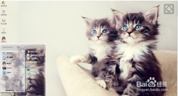 竹节猫游戏,穿越时空的奇幻冒险之旅(图1) 竹节猫游戏,穿越时空的奇幻冒险之旅(图1)