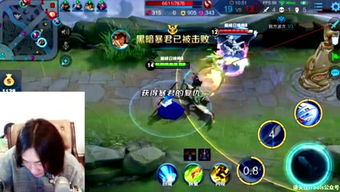木子游戏控,揭秘游戏世界的魅力与奥秘(图1) 木子游戏控,揭秘游戏世界的魅力与奥秘(图1)