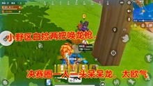 白熊游戏解说,揭秘游戏背后的趣味与智慧(图3) 白熊游戏解说,揭秘游戏背后的趣味与智慧(图3)