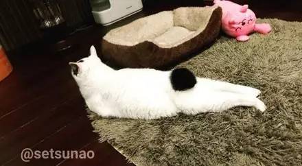 屁屁猫游戏,欢乐无限(图3) 屁屁猫游戏,欢乐无限(图3)