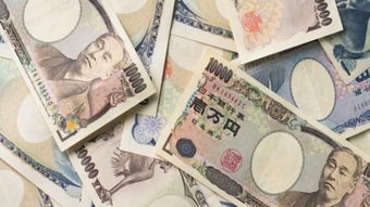 日元的游戏,探索神秘游戏世界(图3) 日元的游戏,探索神秘游戏世界(图3)