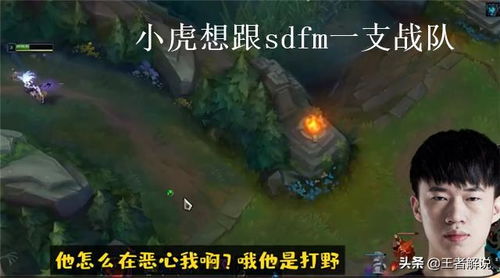 小虎游戏说,揭秘游戏产业的魅力与未来(图1) 小虎游戏说,揭秘游戏产业的魅力与未来(图1)