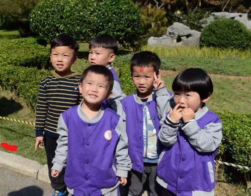 家长秋游游戏,亲子游戏乐翻天活动回顾”(图3) 家长秋游游戏,亲子游戏乐翻天活动回顾”(图3)