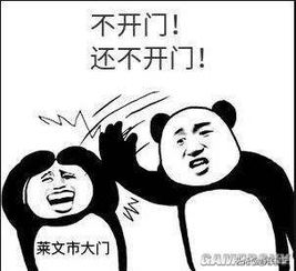 堵门游戏开门,挑战智慧与勇气(图2)