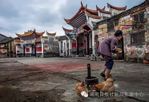 祠堂游戏,探寻古老传承的智慧之旅(图1) 祠堂游戏,探寻古老传承的智慧之旅(图1)