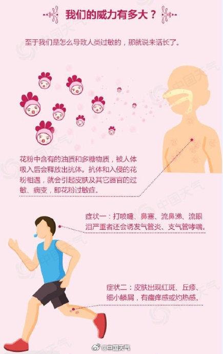 花粉过敏游戏,解锁过敏源之谜(图2) 花粉过敏游戏,解锁过敏源之谜(图2)