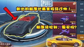 称平衡游戏,挑战智慧与技巧的古老游戏揭秘(图1) 称平衡游戏,挑战智慧与技巧的古老游戏揭秘(图1)