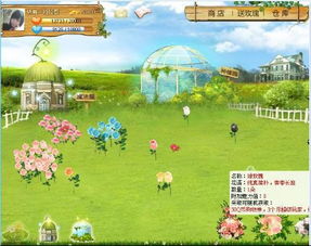 qq游戏浪漫,邂逅指尖上的甜蜜时光(图3)