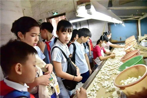 缫丝游戏,揭秘古代纺织技艺的智慧与魅力(图3) 缫丝游戏,揭秘古代纺织技艺的智慧与魅力(图3)