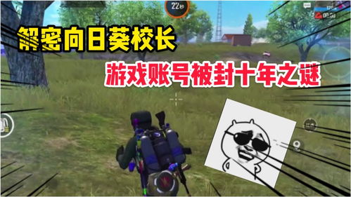 解密游戏葵,探寻真相的迷宫之旅(图2)