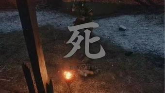 抓狼游戏,智慧与勇气的较量(图3) 抓狼游戏,智慧与勇气的较量(图3)