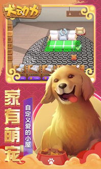 游戏养狗,解锁宠物养护新乐趣(图2) 游戏养狗,解锁宠物养护新乐趣(图2)