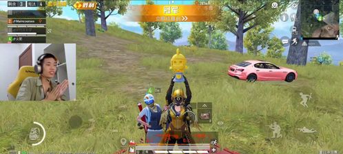 游戏很多粉丝,探寻游戏世界中的热情与梦想(图2) 游戏很多粉丝,探寻游戏世界中的热情与梦想(图2)