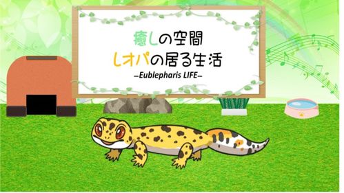 守宫游戏,一场智慧与策略的巅峰对决(图1) 守宫游戏,一场智慧与策略的巅峰对决(图1)