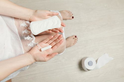 子宫机游戏,探索女性生育奥秘的虚拟之旅(图3)