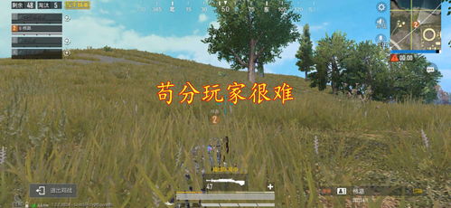 枝桠游戏,探索虚拟世界的无限可能(图2) 枝桠游戏,探索虚拟世界的无限可能(图2)