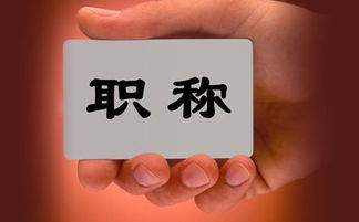 职称游戏,职场晋升的竞技场与智慧策略(图3) 职称游戏,职场晋升的竞技场与智慧策略(图3)