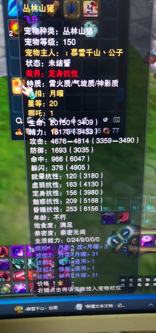 游戏特论,揭秘虚拟世界的奥秘与魅力(图3) 游戏特论,揭秘虚拟世界的奥秘与魅力(图3)