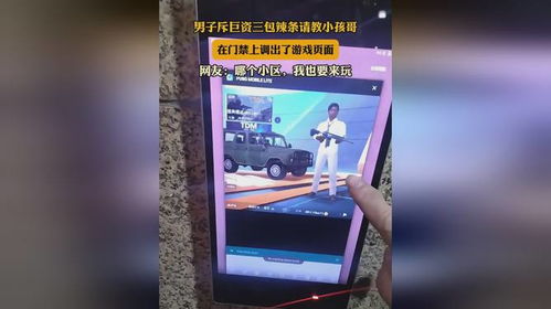 门禁游戏,一场门禁游戏的奇幻冒险之旅(图1) 门禁游戏,一场门禁游戏的奇幻冒险之旅(图1)