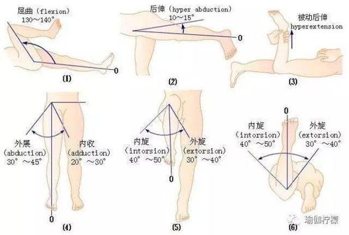 游戏拉关节,探索互动与创新的无限可能(图1)