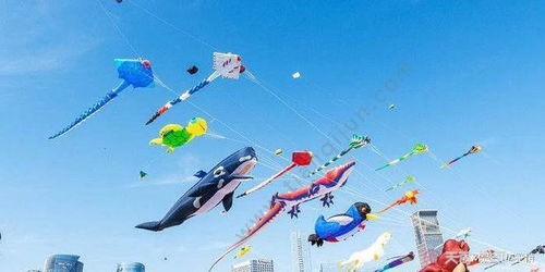 风筝艇游戏,冲浪天空的极限冒险之旅(图3)