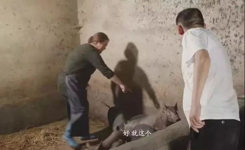 撬竹签游戏,智慧比拼——撬竹签游戏的趣味与挑战(图3) 撬竹签游戏,智慧比拼——撬竹签游戏的趣味与挑战(图3)