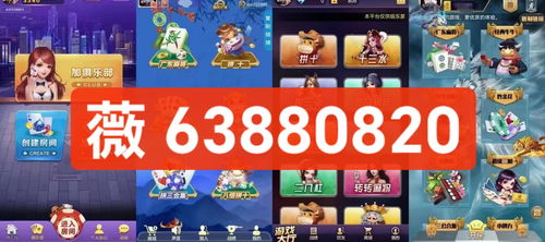 金花游戏名,牌技与智慧的较量(图1) 金花游戏名,牌技与智慧的较量(图1)