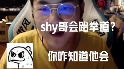 游戏里大哥,游戏世界中的王者之路(图1)