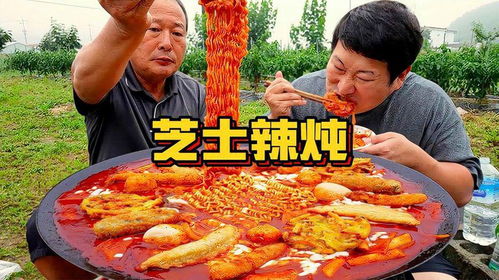 铁板炖菜游戏,一场味蕾与厨艺的激情碰撞(图3) 铁板炖菜游戏,一场味蕾与厨艺的激情碰撞(图3)