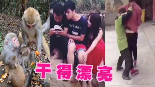 搞笑联欢游戏,笑翻天！搞笑联欢游戏欢乐无限(图2)