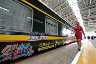 酒吧游戏火车,欢乐时光的激情碰撞(图3) 酒吧游戏火车,欢乐时光的激情碰撞(图3)