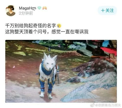 游戏名字狗,勇闯江湖的忠诚伙伴(图2) 游戏名字狗,勇闯江湖的忠诚伙伴(图2)