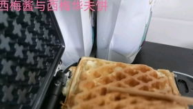 西梅游戏,探索无尽乐趣的奇幻之旅(图2)