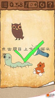 给猫头鹰照张相吧游戏,一场光影交织的视觉盛宴(图1)
