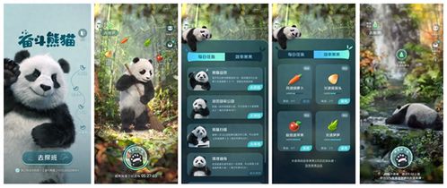 熊猫聊游戏,探索无限乐趣(图2) 熊猫聊游戏,探索无限乐趣(图2)