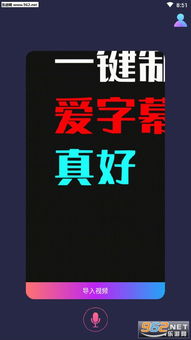 游戏字幕编辑,揭秘幕后编辑的艺术与挑战(图3) 游戏字幕编辑,揭秘幕后编辑的艺术与挑战(图3)