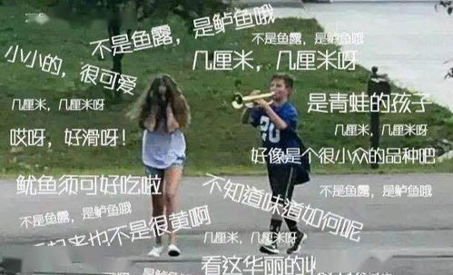 炒菜游戏反思,烹饪艺术与人生哲理的碰撞(图1)