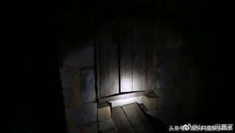 鬼游戏小雨,小雨的惊悚冒险之旅(图1) 鬼游戏小雨,小雨的惊悚冒险之旅(图1)