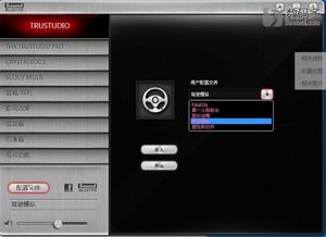 游戏音频内存,揭秘游戏音效背后的内存奥秘(图1)