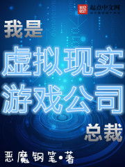 我是虚拟现实游戏公司总裁txt,我是虚拟现实游戏公司总裁的创业之路(图1)