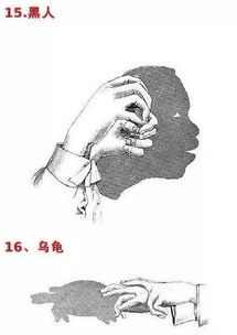 中班手指游戏手影游戏,创意无限时光(图2) 中班手指游戏手影游戏,创意无限时光(图2)