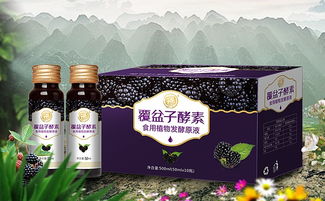 游戏酵素,酵素的力量与奥秘(图3)