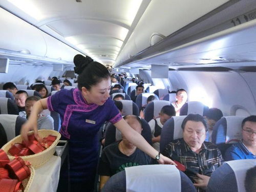 客舱游戏,揭秘客舱游戏的魅力与乐趣(图3)