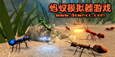 蚂蚁特权游戏,探索奇幻冒险的虚拟世界(图1) 蚂蚁特权游戏,探索奇幻冒险的虚拟世界(图1)