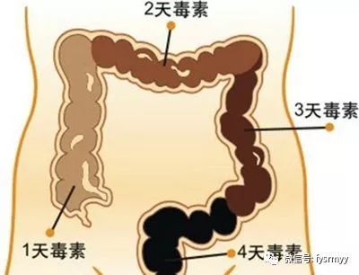打游戏便秘,揭秘电子竞技背后的健康隐患(图1) 打游戏便秘,揭秘电子竞技背后的健康隐患(图1)